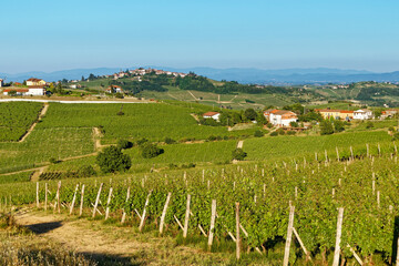 Fototapeta na wymiar Panoramic summer view on the hills of Monferrato, historical wine region of Piedmont, Italy