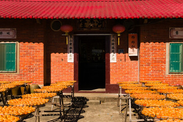 The persimmon fruits is bask in the sun light on to made the dried persimmons in the yard.