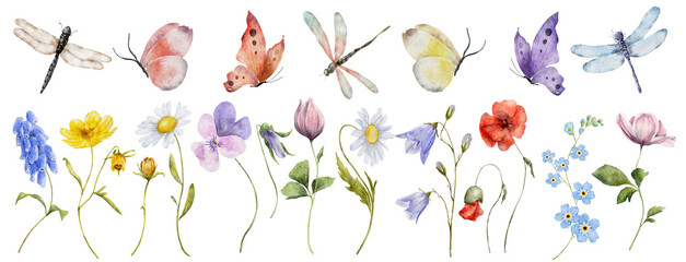 wildflowers watercolor botanical illustration with butterfly and dragonfly - obrazy, fototapety, plakaty