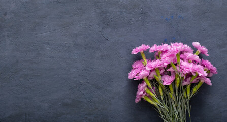 Pink flowers of garden carnation on a dark stone background. Top view