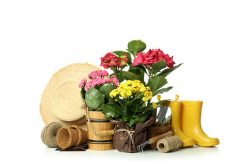 Accessories and tools for gardening isolated on white background