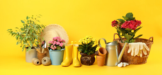 Accessories and tools for gardening on yellow background