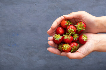 Female hands holding handful of fresh summer strawberries on dark stone background. Sharing fresh strawberries from the garden - obrazy, fototapety, plakaty