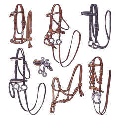 Different types of horse bridles. Collection equestrian ammunition for backgrounds, wallpapers, textile, postcards, t-shirt prints. Set elements for horses. Vector hand drawn style illustration.