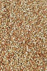  Close up of coffee beans for background                                                               