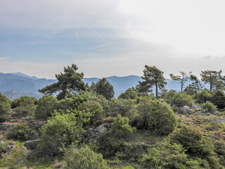 Fototapeta na wymiar Paysage de montagne et de nature au Mont Macaron avec les ruines de Châteauneuf Villevieille avec vue sur les sommets du Mercantour