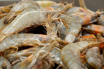 a lot of raw fresh shrimps.  seafood, aphrodisiac