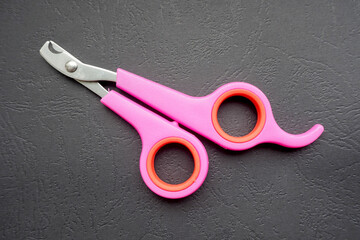 a close pink claw cutter for small dogs and cats lies on a gray background. view from above. for the claws of cats and dogs