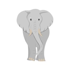 Obraz premium cartoon flat elephant illustration isolated on white