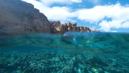 amazing coral reef, red sea, split