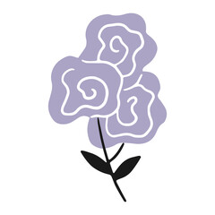 Roses or peonies in the style of cartoon doodles. Vector isolated flower illustration.