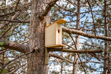 Birdhouse, wooden house for birds, on tree among branches in forest, selective focus.