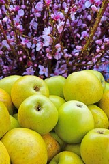 Fresh organic apples at the farmers market