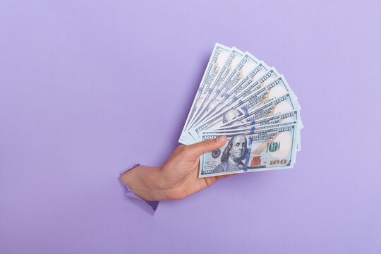 Close up of human hand holding fan of cash money in dollar banknotes, isolated through torn purple background, copy space for advertisement place for text image, advertising area workspace, mock up.