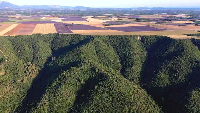 Flug &uuml;ber ein bl&uuml;hendes Lavendelfeld (Lavandula angustifolia), Sommer, blauer Himmel, Landstra&szlig;e mit Autoverkehr, Valensole, D&eacute;partement Alpes-de-Haute-Provence, Provence Alpen C&ocirc;te d&rsquo;Azur, Frankreich