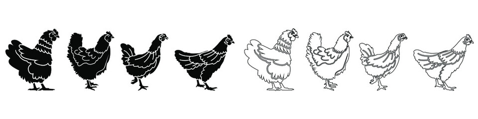 Chicken vector icon set. Farm illustration sign collection. hen symbol.