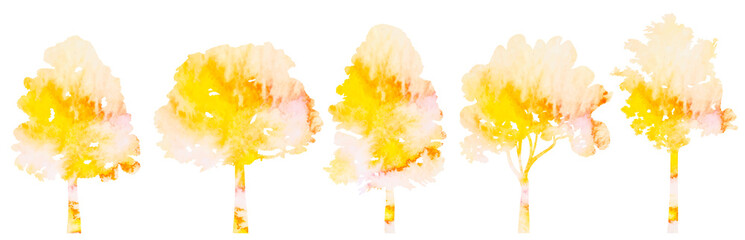 autumn trees watercolor silhouette on white background, isolated, vector © zolotons