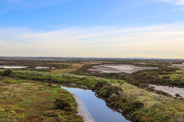 view of the river and wetlands in the city