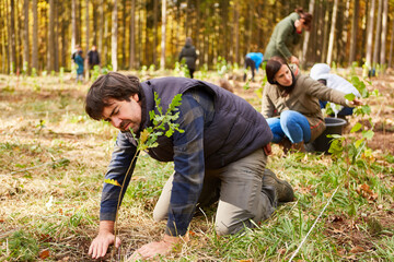 Förster und freiwillige Helfer beim Baum pflanzen im Wald