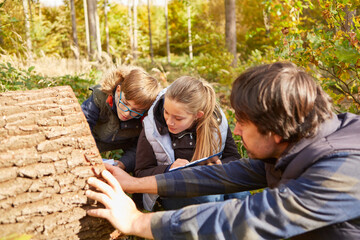 Kinder und Förster betrachten die Jahresringe am Baum