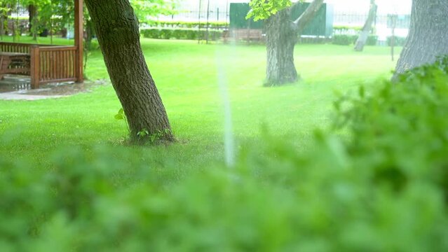 Spraying the garden with water, automatic watering of the meadow in the park