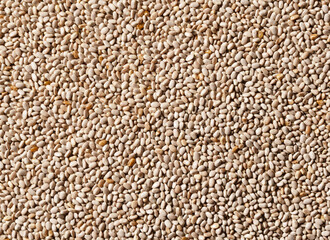 White chia seeds throughout the screen.