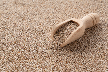 Chia seeds all over the screen, and a wooden scoop on top of them.