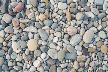 Dry sea pebbles background. Unconventional summer holidays souvenir. High quality photo