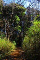 牛久自然観察の森