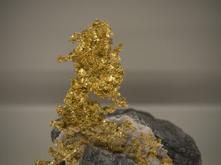 Natural golden gold nugget detail