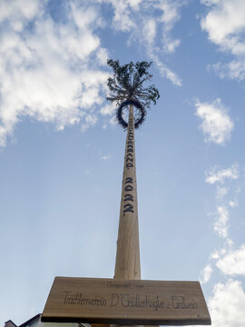 Wooden Maypole Greasy Tree Pole In Graz Austria