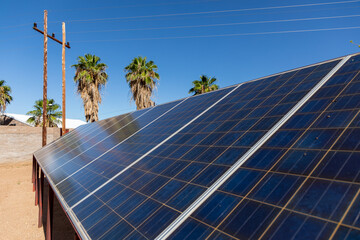 Diagonal view of solar panels.  Behind the panels are wooden electrical poles with cables and palm...