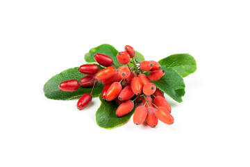 Fresh red barberry berries with green leaves on a white isolated background.
