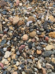 Background made of multicolored pebbles
