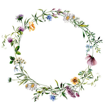Wreath of wildflowers. Watercolor illustration frame meadow flowers for card, invitation, scrapbooking.