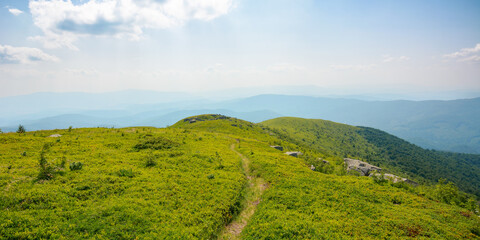 trail down the grassy hill. stones on the green hillside meadow. summer vacation in mountains. sunny afternoon weather with fluffy clouds on the sky