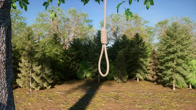 A close-up view of a rope with a hangman's noose knot, blowing gently in the breeze as it hangs from the branch of a tree - seamless looping.