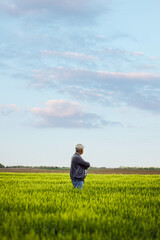 Naklejka na ściany i meble Senior farmer standing in barley field examining crop.