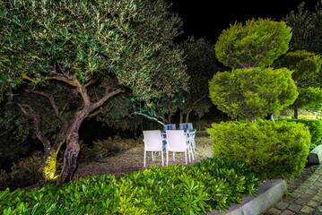 Naklejka na ściany i meble Green garden with chairs and table under the olive tree in the night time with evening light. 