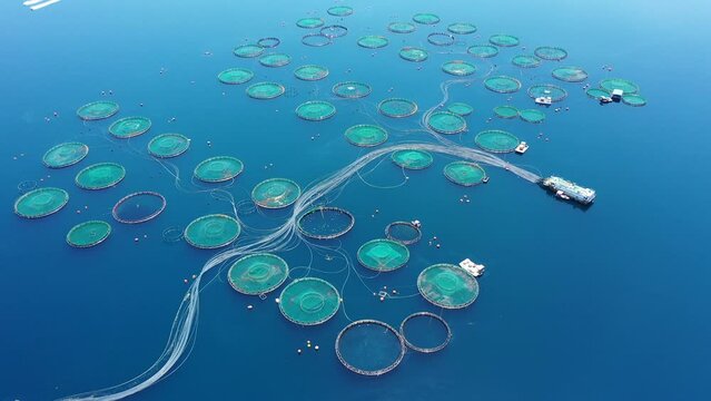 Aerial drone video of sea bass and sea bream fishery or fish farming unit in Mediterranean calm deep blue sea