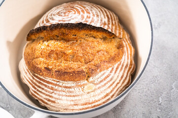 Wheat Sourdough Bread