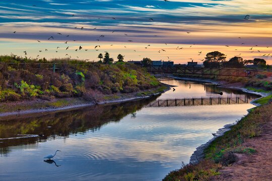 Carpinteria bird refuge with winter weather