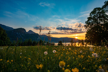 Berglandschaft, Blumenwiese, See, Pusteblume, L&ouml;wenzahn, Sonnenuntergang, Himmel, Wolken, Abendrot, Berge