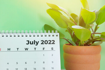 Selective focus of July 2022 desk calendar with ornamental plant  and copy space on green...
