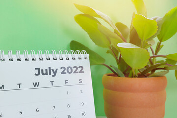 Selective focus of July 2022 desk calendar with ornamental plant  and copy space on green background.