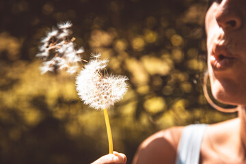 The Blow