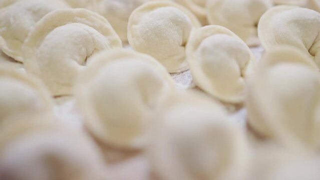 homemade fashioned beautiful raw dumplings lie in even rows on a plank