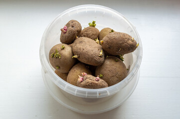 potatoes with small sprouts in a plastic jar