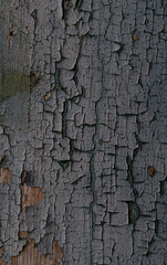 cracked painted surfase