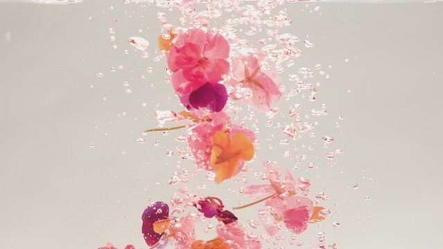 Beautiful white, yellow and pink hibiscus flowers petals floating in the water. Blooming hibiscus flower. Hibiscus bloom. Springtime. Creative Flowers with different colours and bloom petals.